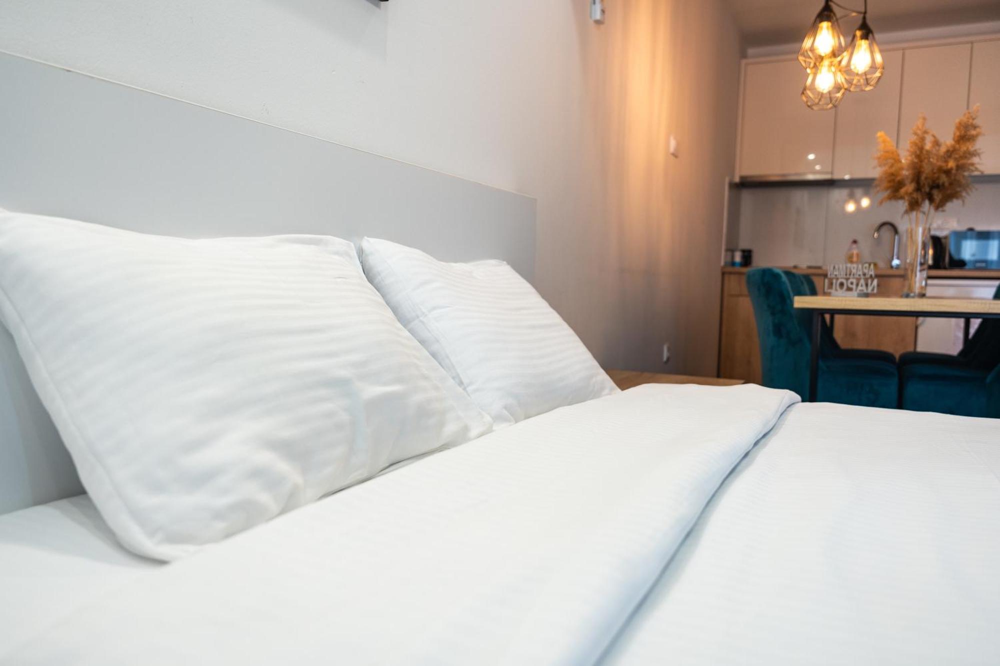 Daisy Resort Novi Sad Dış mekan fotoğraf