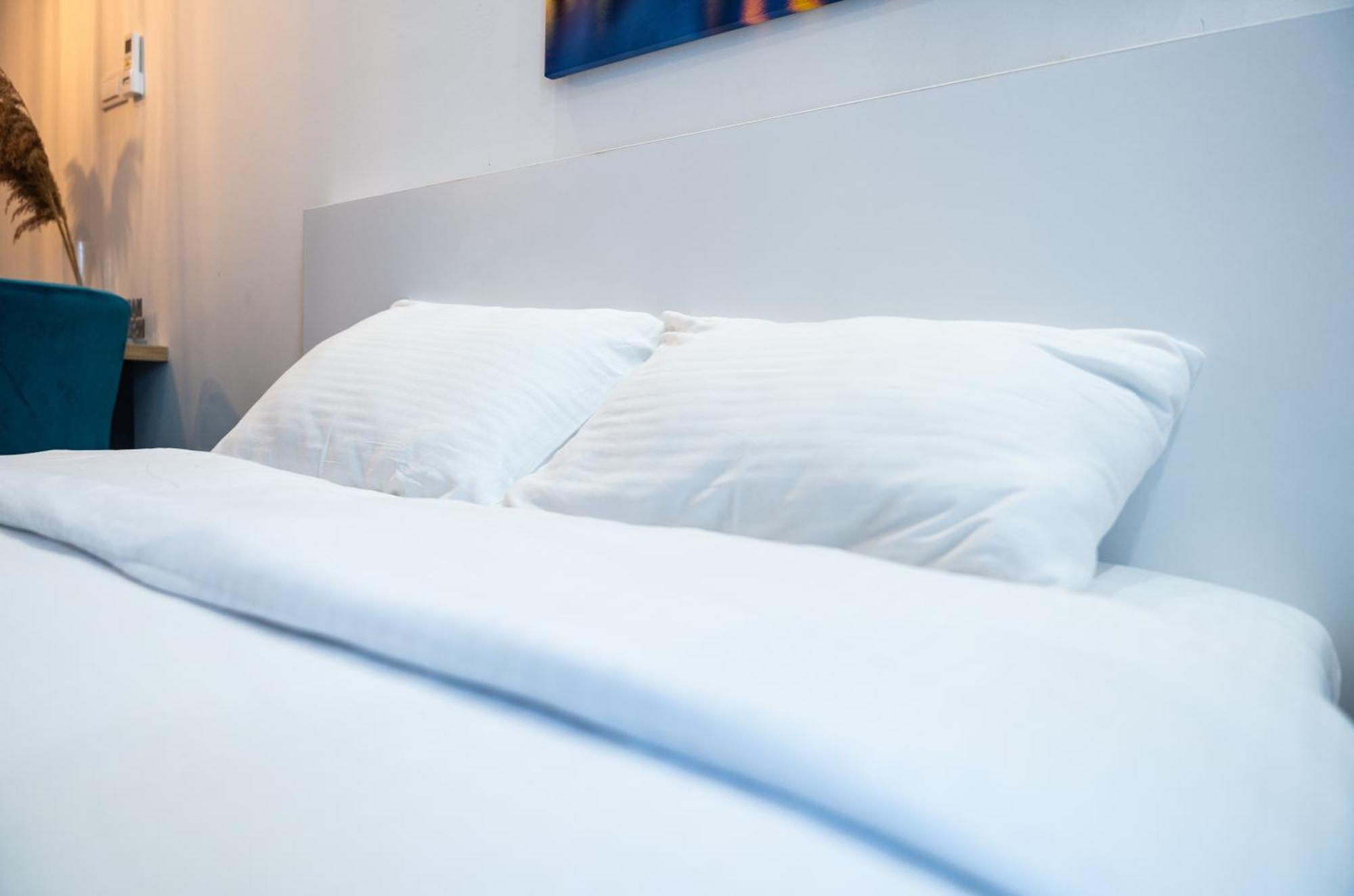 Daisy Resort Novi Sad Dış mekan fotoğraf