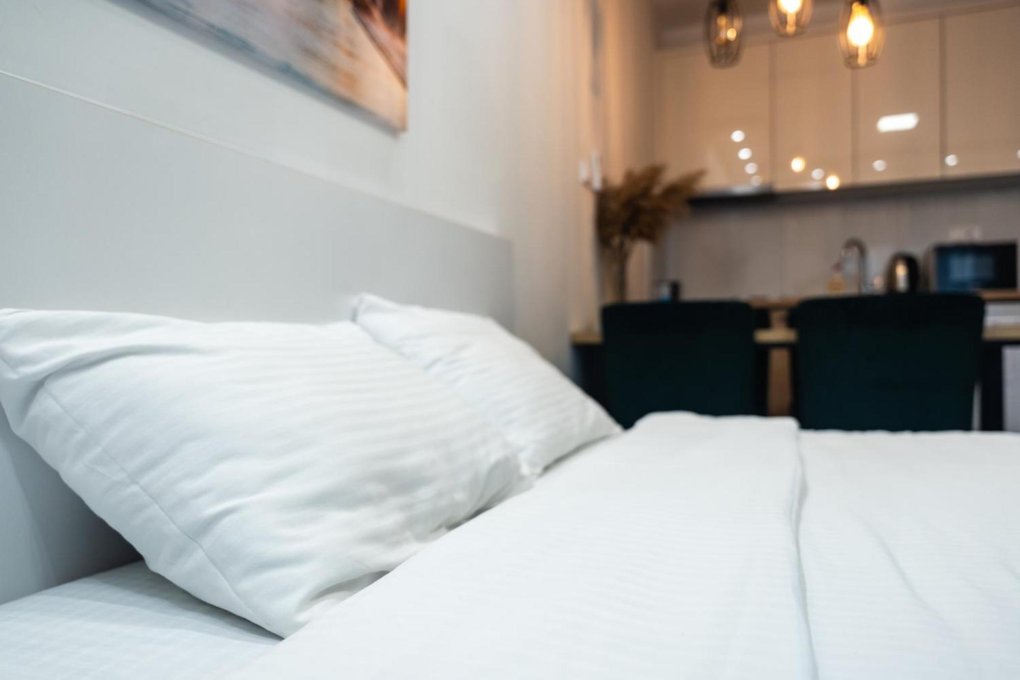 Daisy Resort Novi Sad Dış mekan fotoğraf